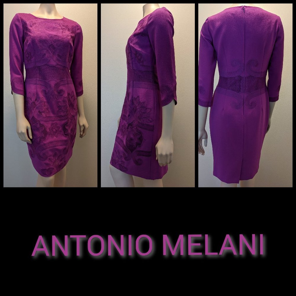 Antonio Melani Fuschia Embroidered Dress Sz 4